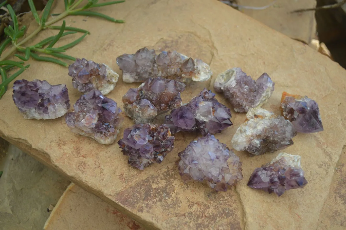 Natural Rare Dark Purple Spirit Amethyst Clusters x 24 From Boekenhouthoek, South Africa
