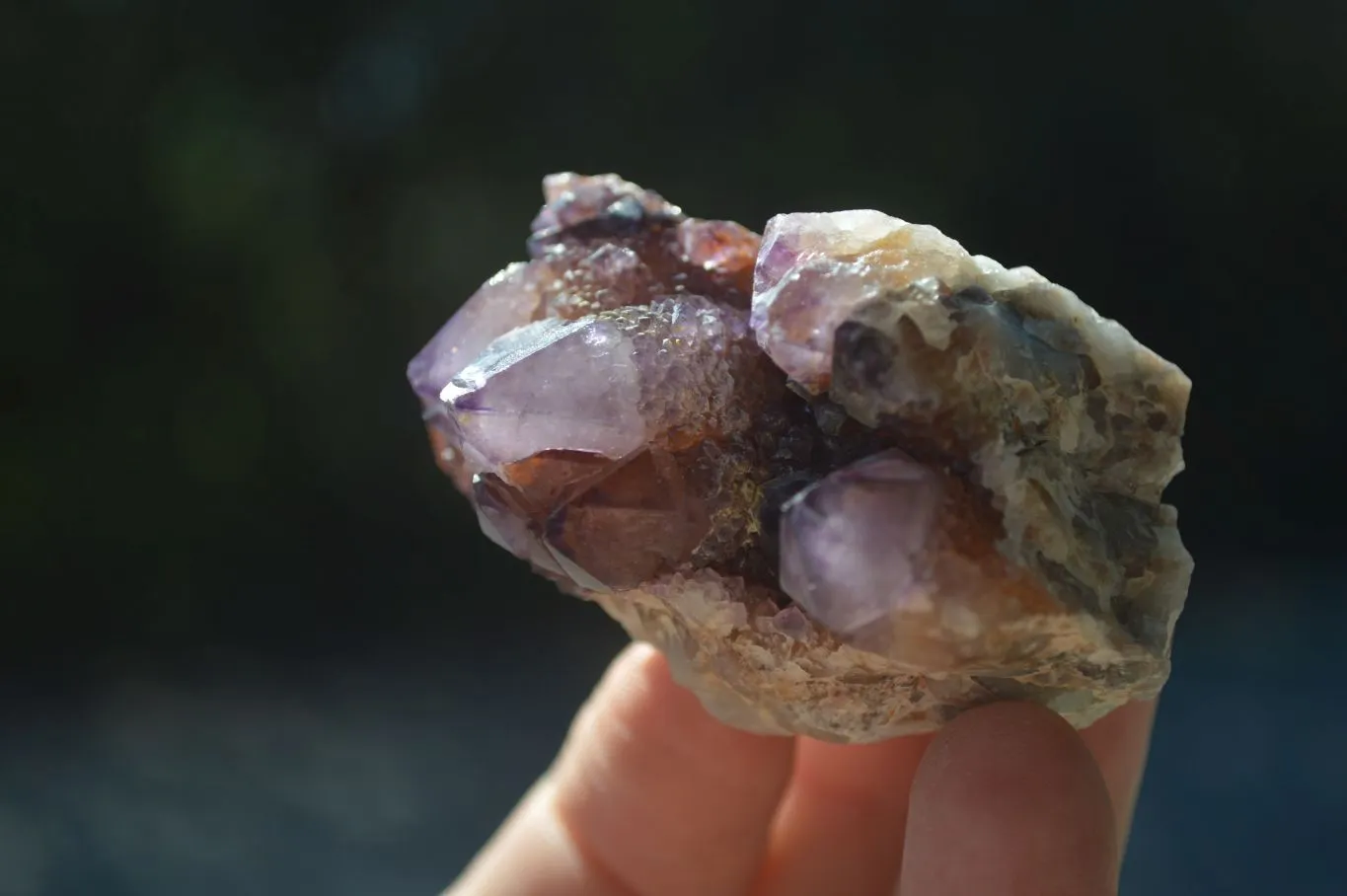 Natural Rare Dark Purple Spirit Amethyst Clusters x 24 From Boekenhouthoek, South Africa